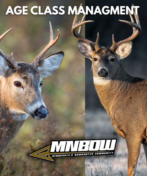 Age Class Management