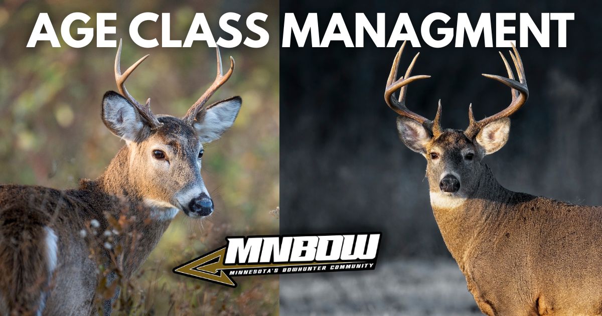 Whitetail Deer Age Class Management in Minnesota