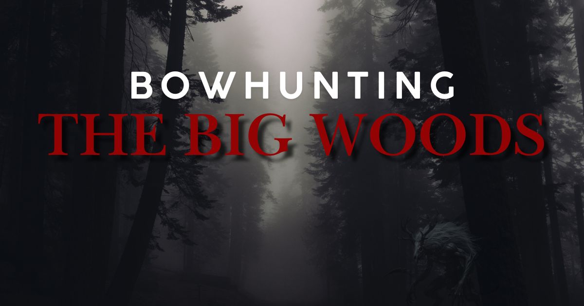 Bowhunting Minnesota Big Woods