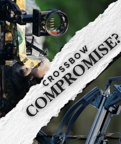 Minnesota Crossbow Season