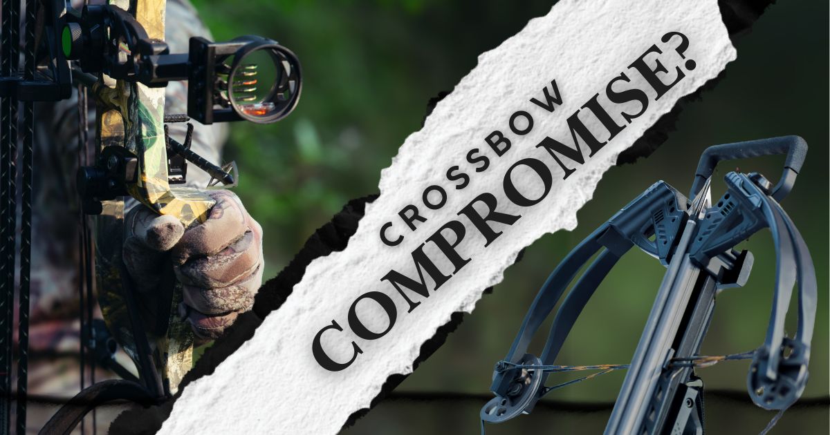 Minnesota Crossbow Season