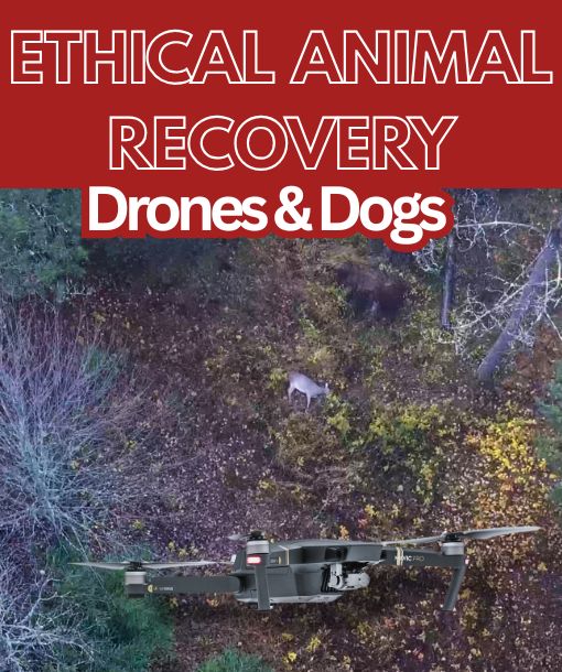 Drone and Dog Animal Recovery Minnesota