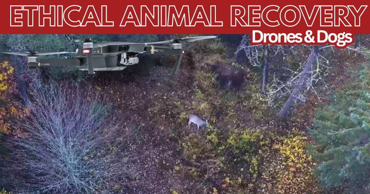 Drone and Dog Recovery