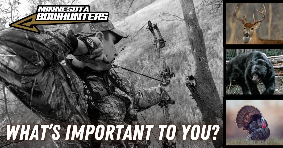 Minnesota Bowhunters