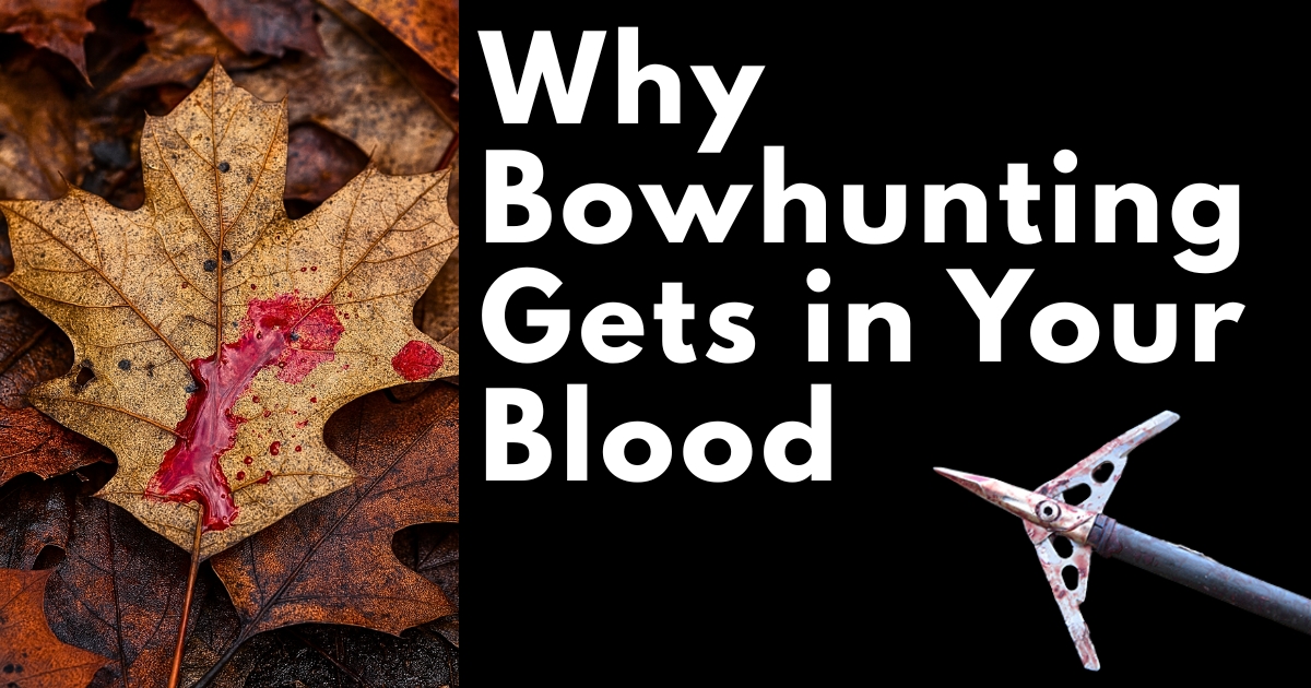 Why Bowhunting Gets in Your Blood